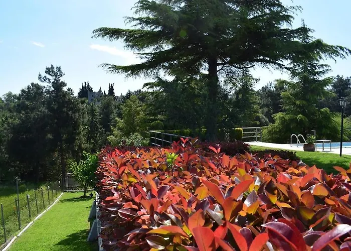 Casa Chrissy * Plagiárion